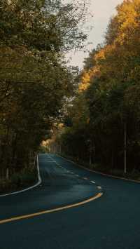 新昌,回山秋景已經藏不住了快衝呀