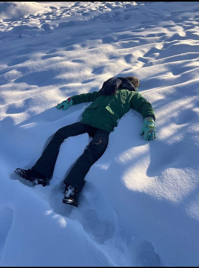 為什麼要11月來漠河玩雪？雪鄉第二來囉