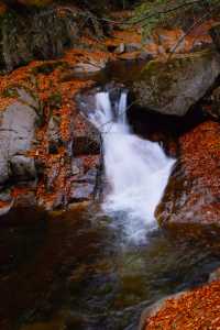 親子徒步看紅葉寶藏地，十八月潭保姆級攻略