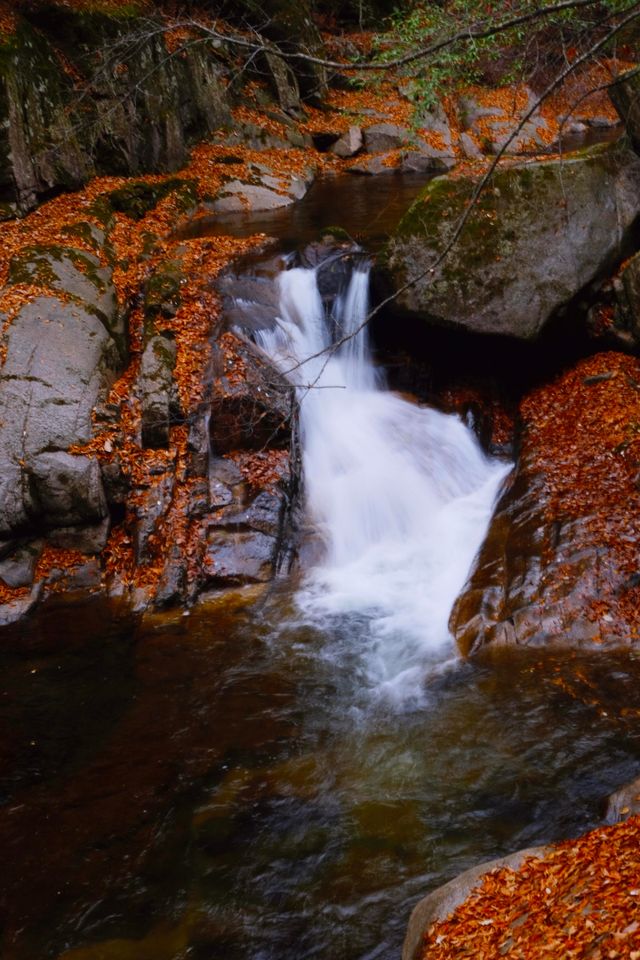 親子徒步看紅葉寶藏地，十八月潭保姆級攻略