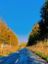 滬浙邊界的遺珠 | 在新倉，與江南的慢時光溫柔相遇