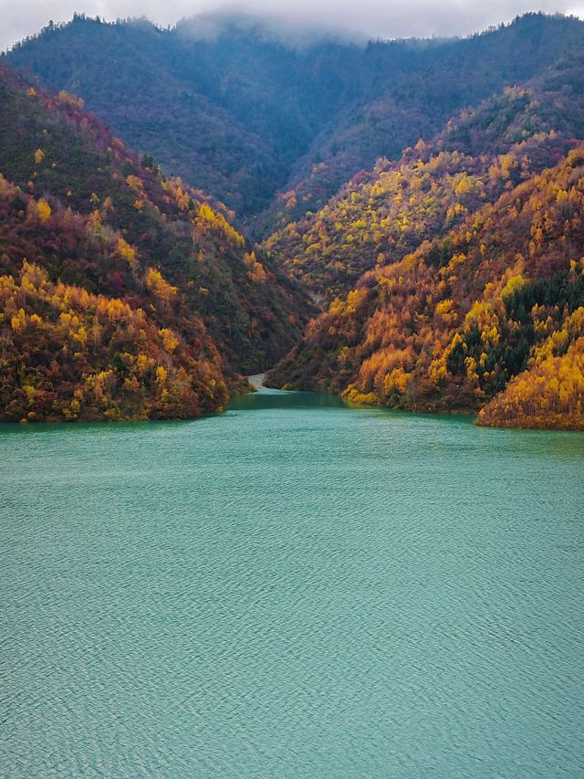 第四次往返平武，我推薦這個遊玩路線