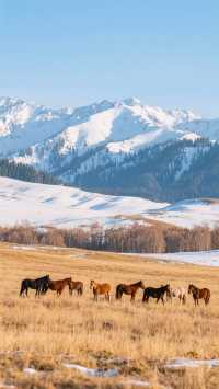 11月的伊犁四天三晚,玩轉塞外江南!邂逅草原與霧淞秘境!