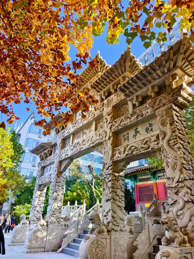 真的不是國外哈利波特霍格沃茨分院