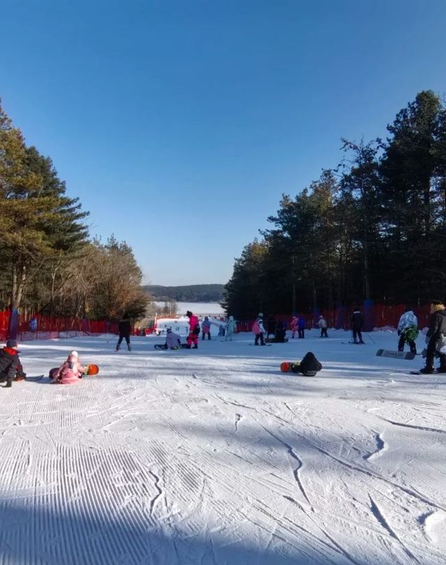 《你好星期六》到長春錄製