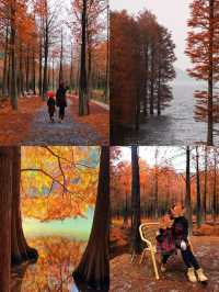 這個秋日，南方人帶娃必去的小城，真怕它火