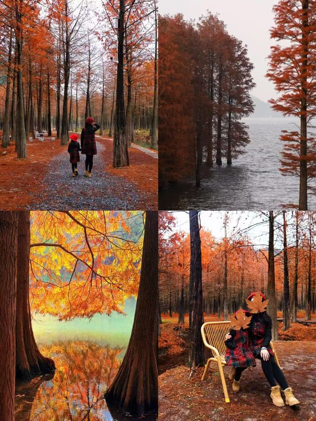 這個秋日，南方人帶娃必去的小城，真怕它火