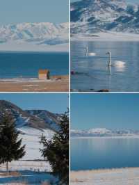 闖入阿勒泰與賽里木湖做一場遠方的夢