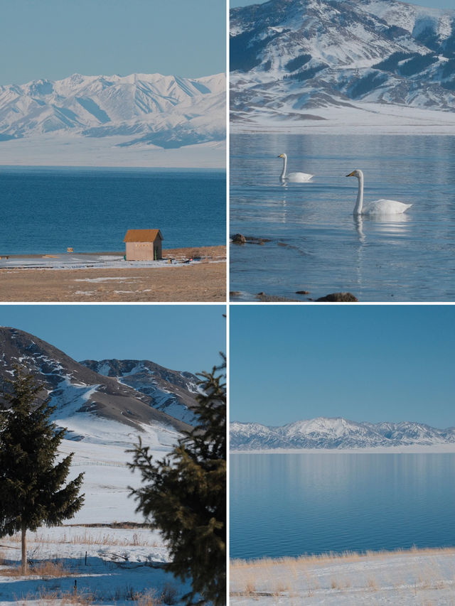 闖入阿勒泰與賽里木湖做一場遠方的夢