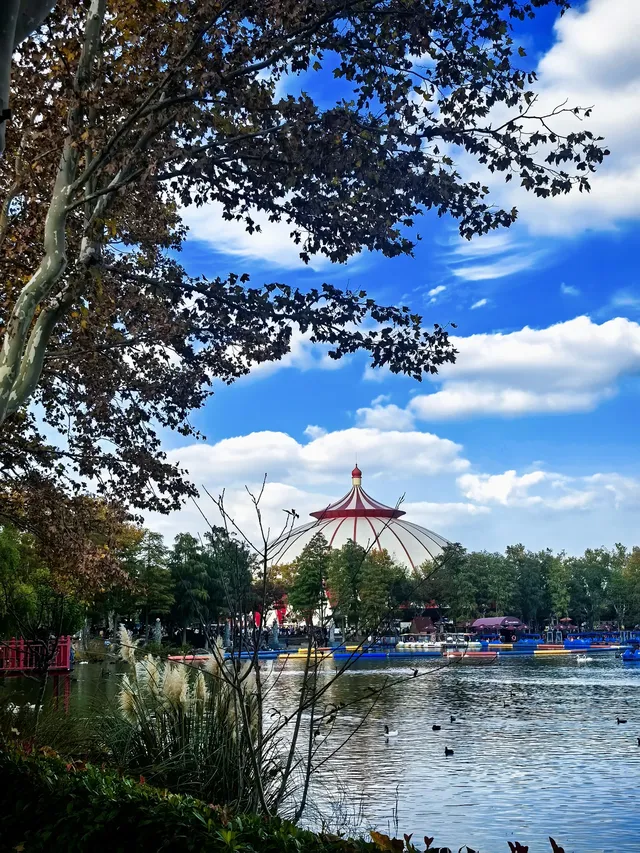 上海野生動物園30歲免費！週末遛娃聖地！