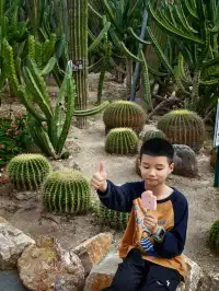 廈門植物園鐘鼓索道懶人版