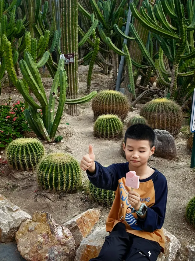廈門植物園鐘鼓索道懶人版 廈門植物園鐘鼓索道懶人版
