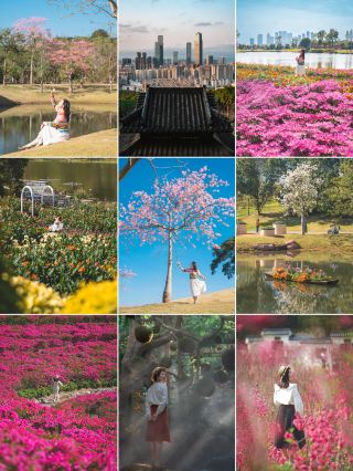 Qingxiu Mountain Year-Round Guide Map Flower Seasons + One-Click Favorite for Photo Spots