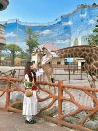 去泉州旅遊，花得最值得嘅一筆錢 週末去了一趟泉州，令我非常驚喜！ 這裡藏著一座能和長頸鹿親密接觸的度