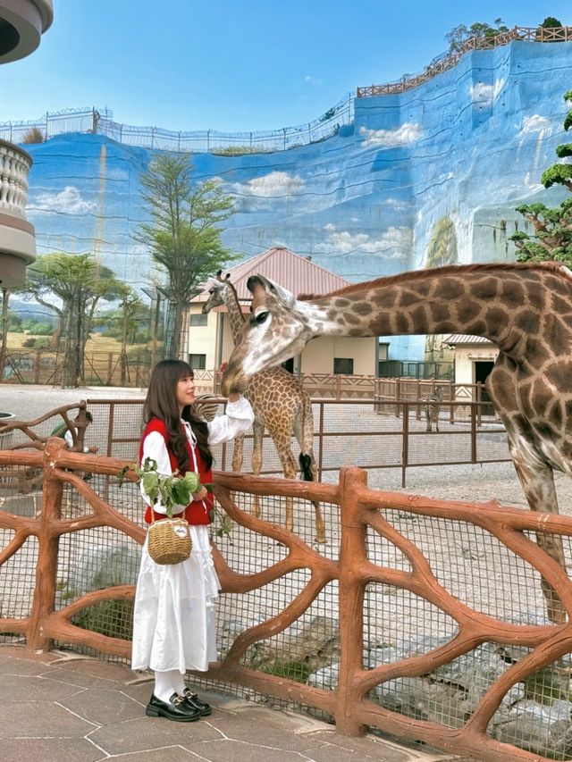 去泉州旅遊，花得最值得嘅一筆錢 週末去了一趟泉州，令我非常驚喜！ 這裡藏著一座能和長頸鹿親密接觸的度