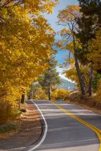 “南加無秋？”我不這麼認為喔