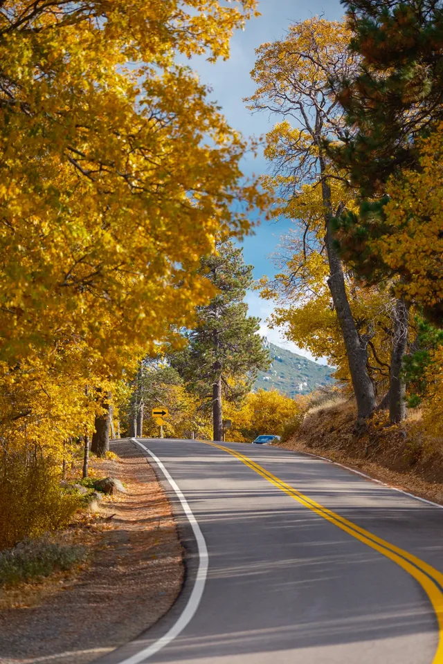 “南加無秋？”我不這麼認為喔