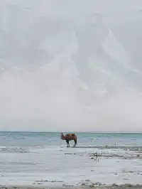 帕米爾高原之上，生命很難形容