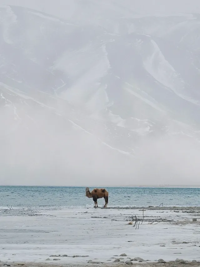 帕米爾高原之上，生命很難形容
