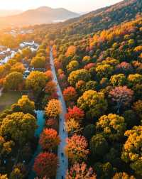 建築與自然的詩意碰撞|踏千年城垣,尋江南福地,感受古邑風雅