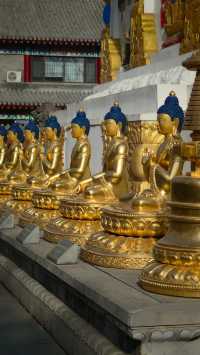 金塔藍天下佛光普照