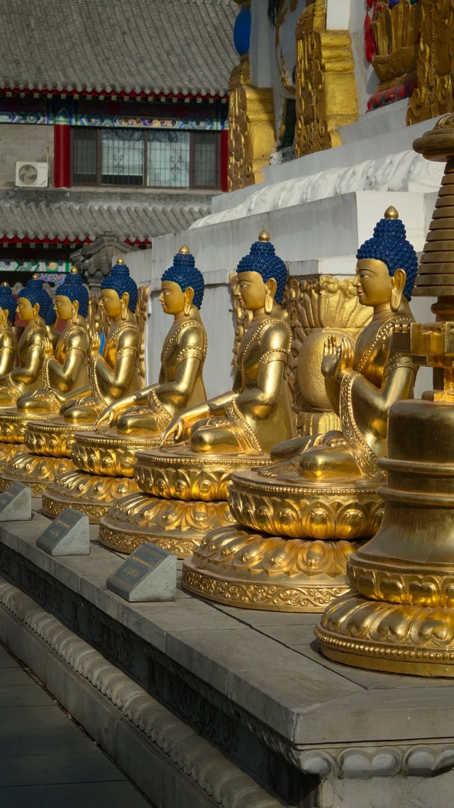 金塔藍天下佛光普照