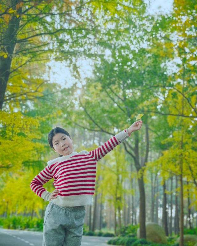 崇明島明珠湖｜秋日私藏的金色童話秘境！