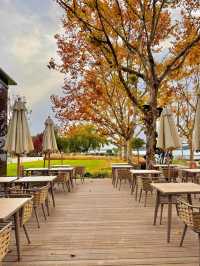 陰天也別有風味!金雞湖秋色已美成油畫