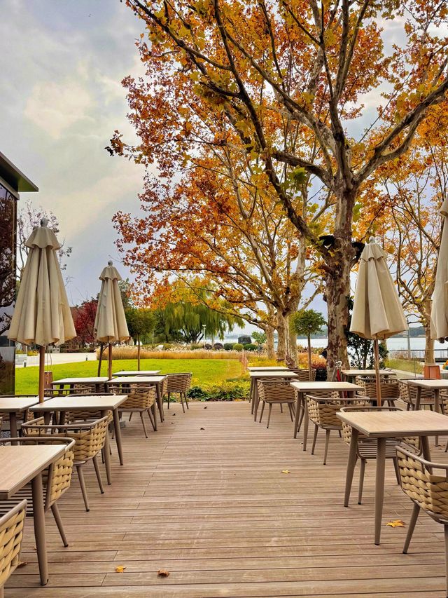 陰天也別有風味!金雞湖秋色已美成油畫 陰天也別有風味!金雞湖秋色已美成油畫