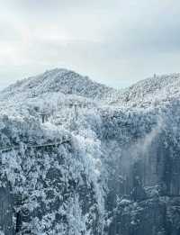 2. 拒絕繞路!張家界國家森林公園+天門山環線,新手也能衝