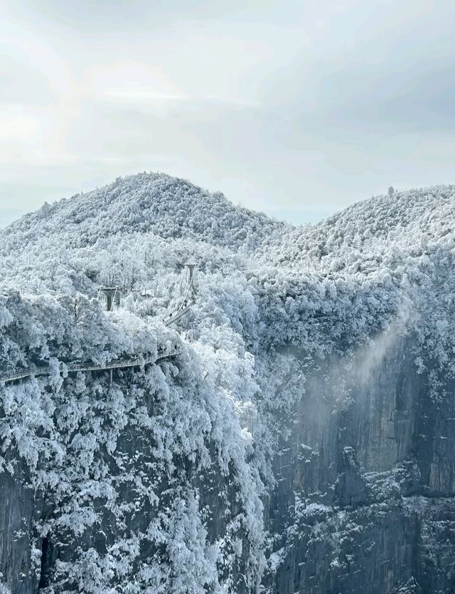 2. 拒絕繞路!張家界國家森林公園+天門山環線,新手也能衝 2. 拒絕繞路!張家界國家森林公園+天門山環線,新手也能衝