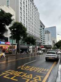 🍴【鼓浪嶼號美食全攻略】免費餐廳＋隱藏收費避坑指南！