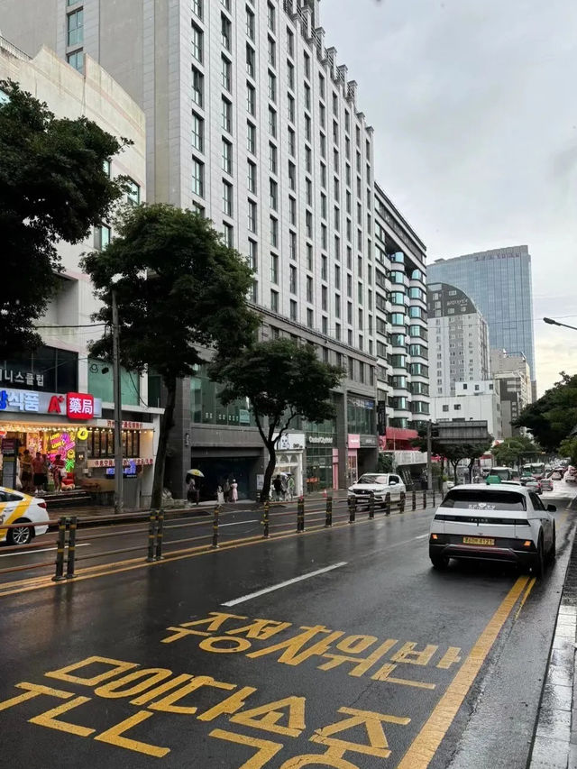 🍴【鼓浪嶼號美食全攻略】免費餐廳＋隱藏收費避坑指南！