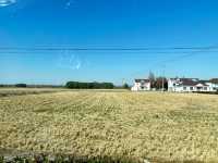 青浦私藏治癒路線！千年銀杏+關公咖啡+柴窯麵包的慢活美學