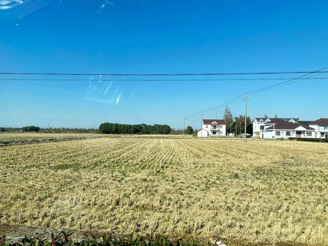 青浦私藏治癒路線！千年銀杏+關公咖啡+柴窯麵包的慢活美學