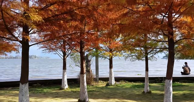 西昌,冬日的一抹秋 西昌,冬日的一抹秋