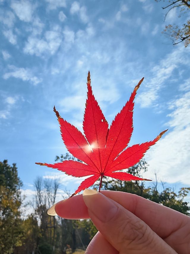 溧陽天目湖3日遊：天目湖山水