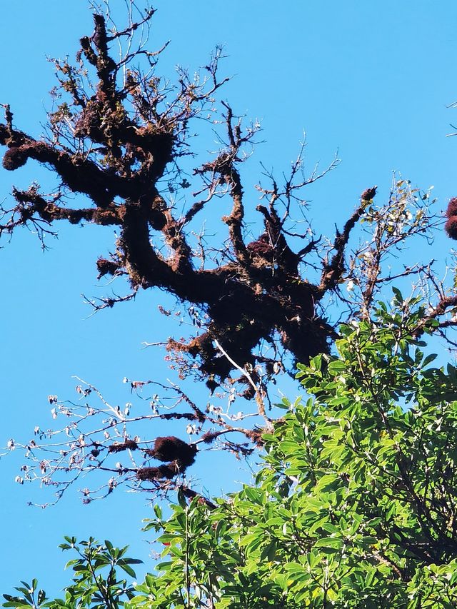 騰衝寶藏青旅！在貝雷帽青旅，我找到了旅行的意義！  這次騰衝之行，最正確的決定就是入住了貝雷帽青旅！