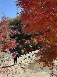 不是京都!實況無調色