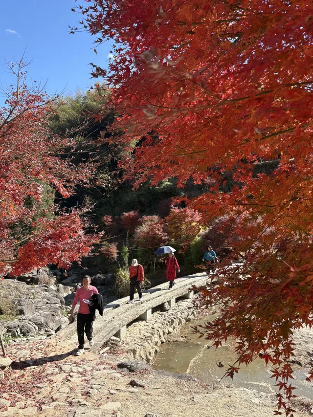 不是京都!實況無調色 不是京都!實況無調色
