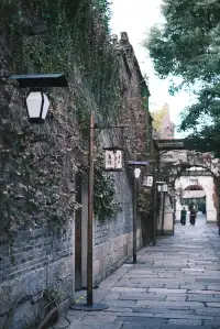 嘉興烏鎮|總要下一趟江南吧