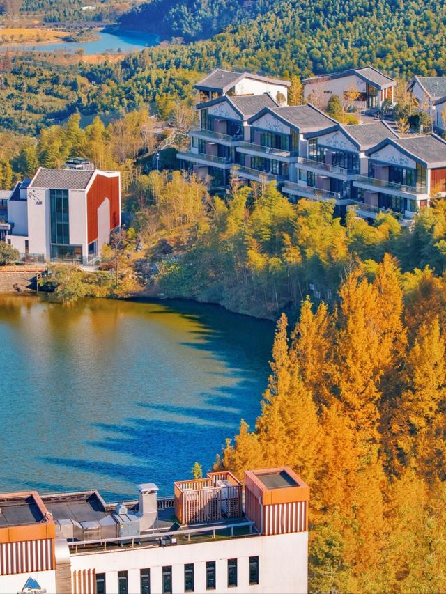 就現在！安吉的秋天已經美成next level！