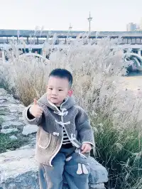 西安周邊藏著童話紅杉林隨手一拍直接封神