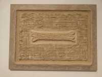 第十三屆上海美術大展