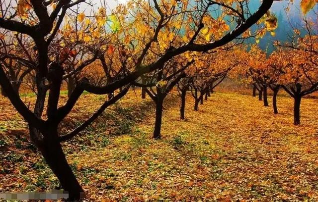 白城三日遊攻略 白城三日遊攻略