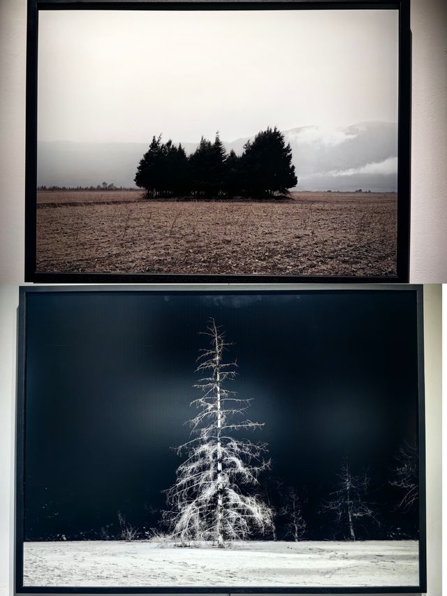 觀看的回路 觀看的回路