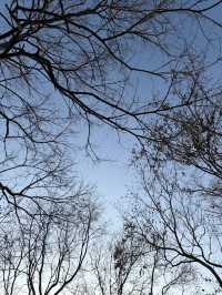 青島冬日Seawalk新路線太平角公園拍照攻略Get!