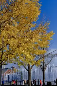 記錄在西安非常喜歡的一些地方