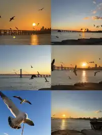 大連|1-2月冬天來大連真的很香