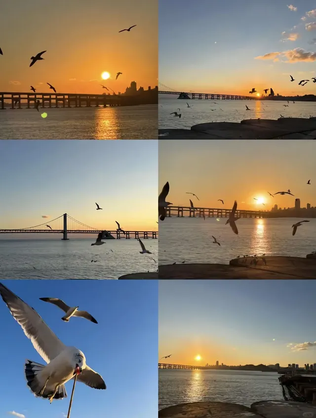 大連|1-2月冬天來大連真的很香